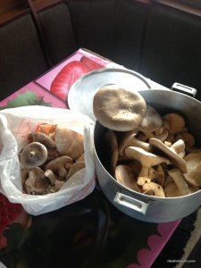IMG_0023.JPG