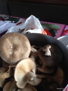 IMG_0024.JPG