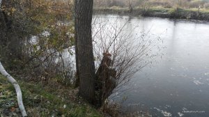 IMG_20161027_090309.jpg
