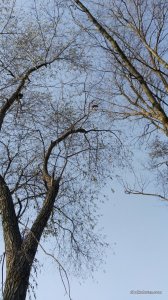 IMG_20161027_090351.jpg