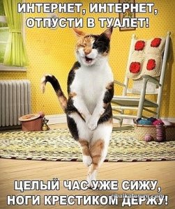 image (20).jpg