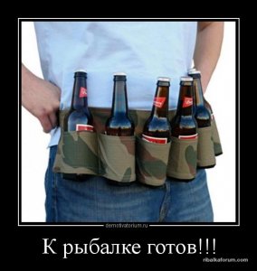 image-0-02-05-b92346860dd7cd1ea0ac72dab75cd10501a2fe700754c72c348720ec1c95d3d2-V.jpg