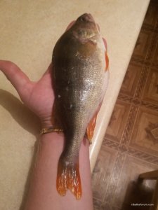 20161027_161643.jpg