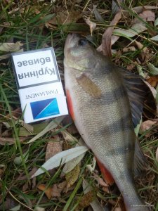 20161027_131820.jpg