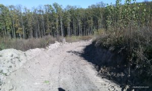 IMG_20161025_124910.jpg