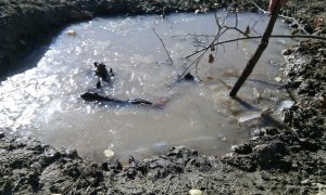 IMG_20161025_110707.jpg