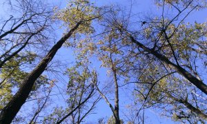 IMG_20161025_111339.jpg