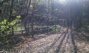 IMG_20161025_122139.jpg