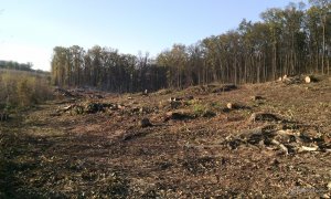 IMG_20161025_153602.jpg
