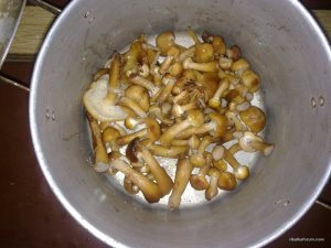 281020161571.jpg