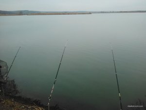IMG_20161027_125515.jpg