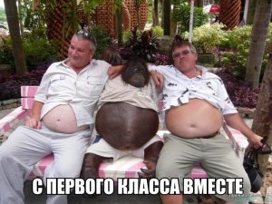 pSUT1zCXXIg.jpg