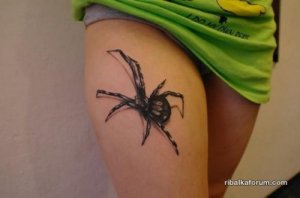 1477572717_zhutko-realistichnye-5.jpg