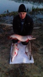 20161028_174415.jpg