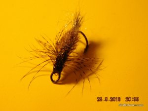 DSCN2575.JPG