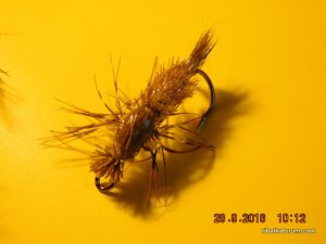 DSCN2577.JPG