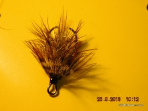 DSCN2578.JPG
