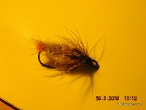 DSCN2579.JPG
