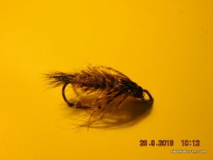DSCN2580.JPG