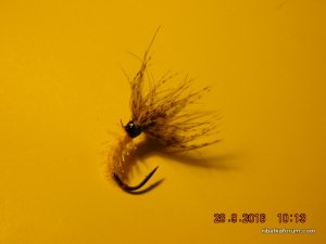 DSCN2581.JPG
