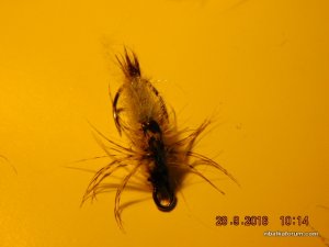 DSCN2582.JPG