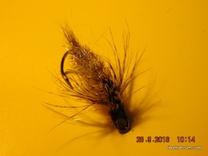 DSCN2583.JPG