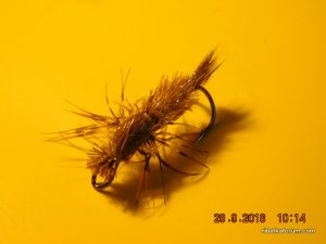 DSCN2584.JPG