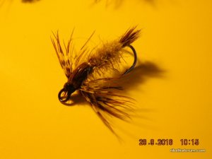 DSCN2585.JPG