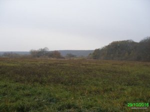 PA290138.JPG