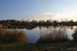 DSC_0695.JPG