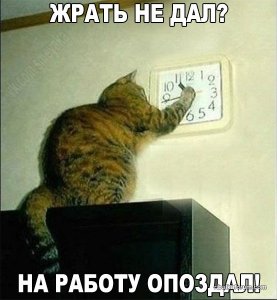 JG9Xlbx68B8.jpg