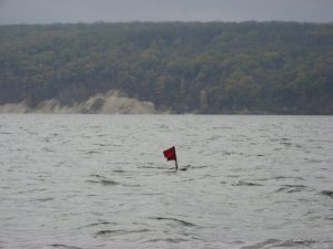 IMG_1445.JPG