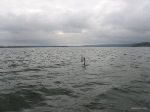 IMG_1447.JPG