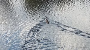 20161105_123243.jpg