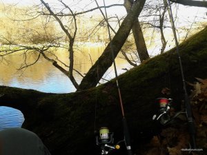 20161105_134209.jpg
