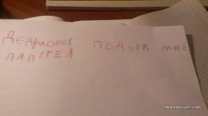 Папу гея.jpg