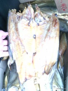 IMG_20161027_144015.jpg
