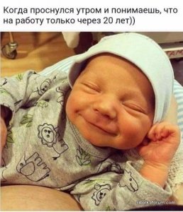 1478264105_fotomemy-3.jpg