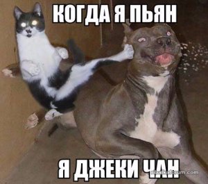 1478264073_fotomemy-14.jpg