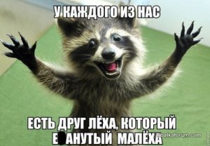 1478264052_fotomemy-24.jpg