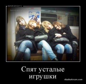 1478596337_demotivatory-12.jpg