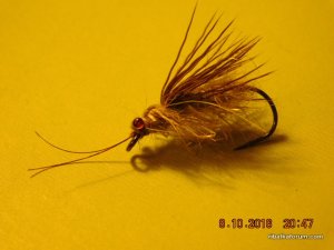 DSCN2658.JPG