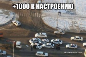 1478610723_avtoprikoly-14.jpg