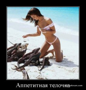1478621316_demotivatory-s-krasotkami-2.jpg