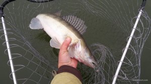 20161109_124231.jpg