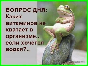 image-0-02-05-de7163bf1e45bcbf8d7ccaa1c5f9f2bbc3e790d116eef1c446ba83cb60b819f9-V.jpg