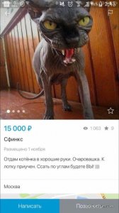 1478787325_kartinki-30.jpg