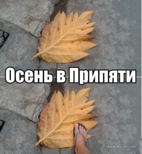 1478787327_kartinki-39.jpg