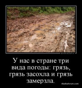 1478851519_demotivatory-4.jpg