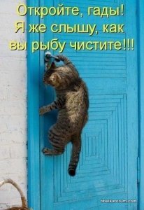 image (13).jpg